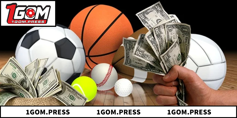 Tổng hợp các loại hình đặt cược phổ biến trong giới thể thao